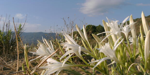 Cilento_Nationalpark
