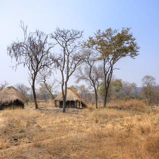 Landschaft in Sambia