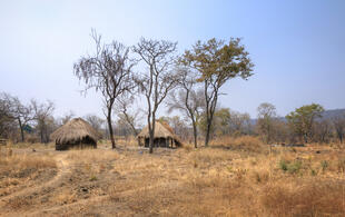 Landschaft in Sambia