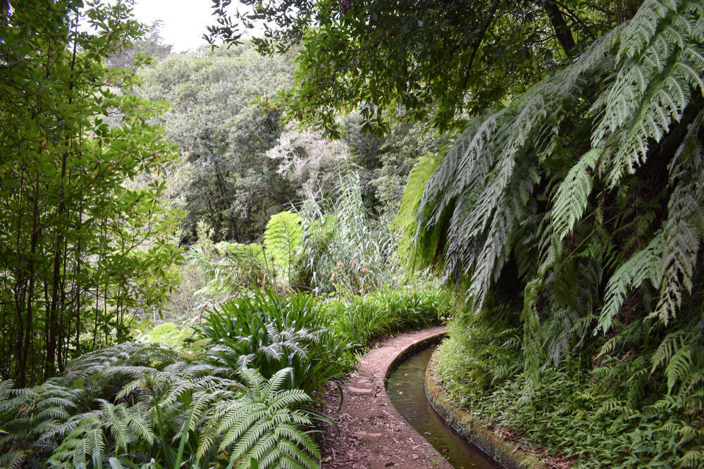 Levada do Rei