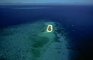 Michaelmas Cay