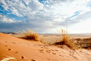Sossuvlei in der Namib Wüste
