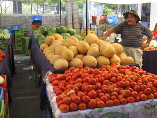 Wochenmarkt mit frischem Obst und Gemüse