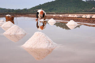 Salzfelder in der Nähe von Kampot