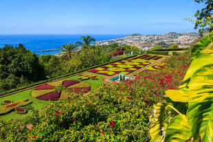 Botanischer Garten in Funchal