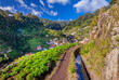 Levada Wanderweg