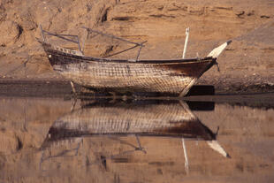 Dhau: Traditionelles arabisches Holzschiff