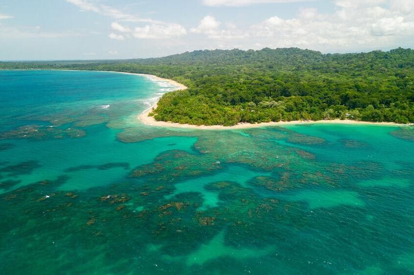 Bocas del Toro 