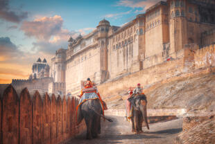 Elefanten vor dem Amber Fort