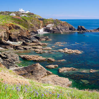 Lizard Point