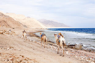 Rotes Meer am Sinai Gebirge