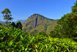 Bandarawela
