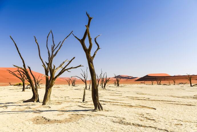 Dead Vlei in Namibia