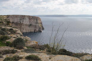 Dingli Klippen - der höchste Punkt Maltas