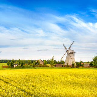 Hölzerne Windmühle