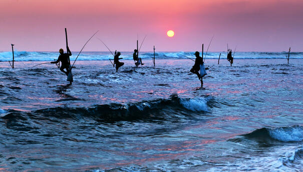 Sri Lanka Reisen