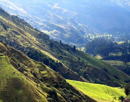 Blick auf die Valle del Cocora