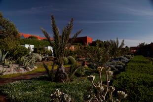 Hotelgarten