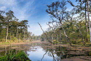 Chitwan-Nationalpark