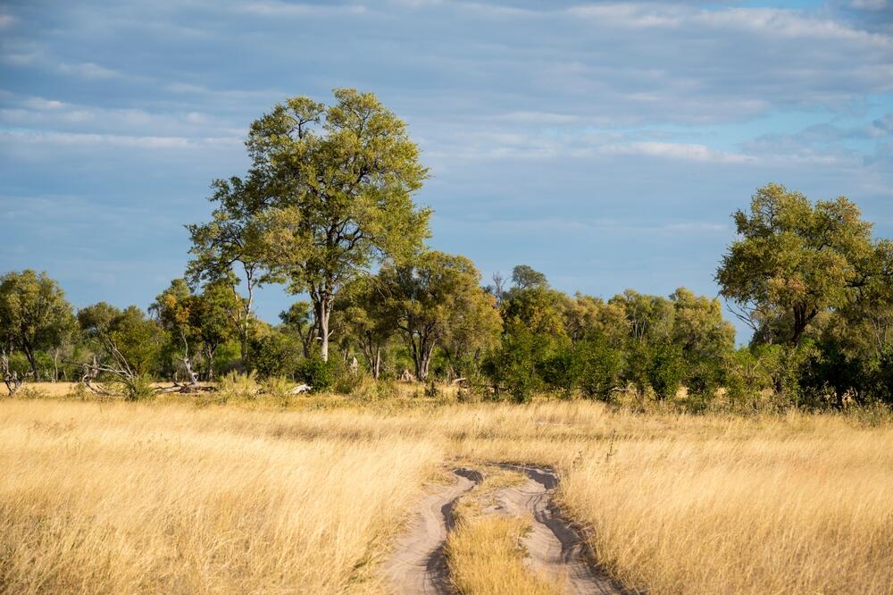 Landschaft im Moremi-Wildreservat
