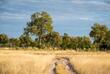 Landschaft im Moremi-Wildreservat