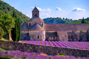 Lavendelfelder vor Kloster Senanque