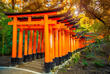 Fushimi-Inari-Shrine