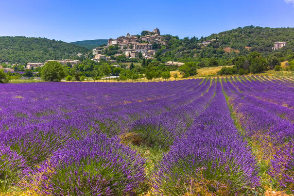 Provence in Frankreich