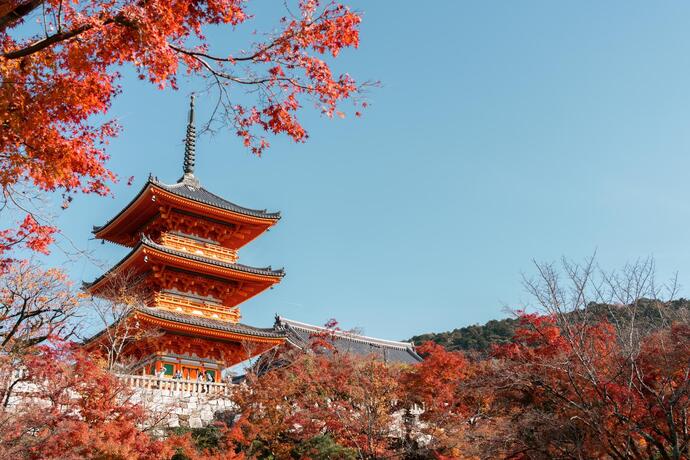  Kiyomizu-Tempel in Kyoto auf einer Japan Reise 