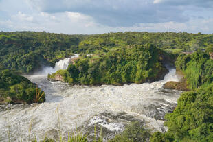 Murchison Falls 