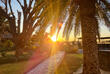 Garten bei Sonnenuntergang