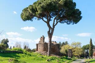 Via Appia Antica
