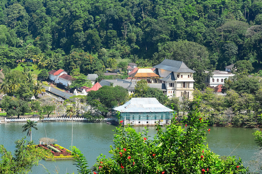 Kandy See