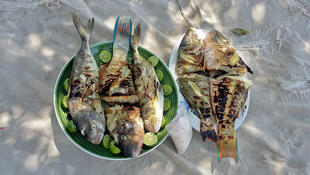 Fisch-Barbecue am Strand von Ifaty 
