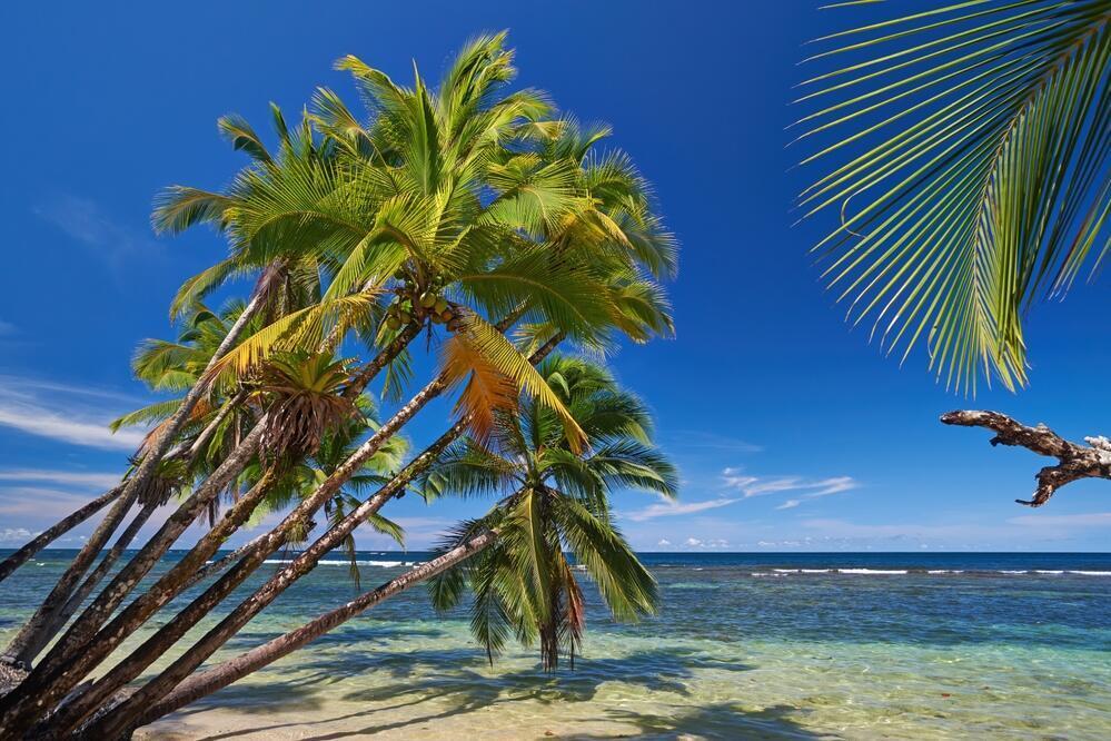 Isla Bastimentos