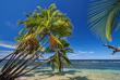 Isla Bastimentos