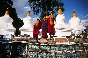 junge Mönche in Sikkim