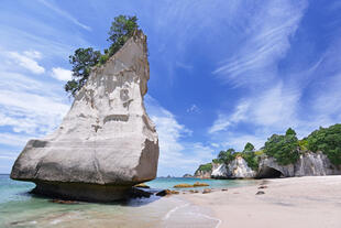 Cathedral Cove Beach 