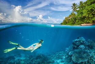 Schnorcheln auf Apo Island