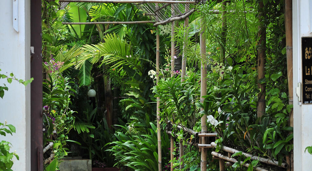Garten