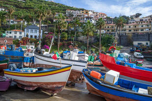 Camara de Lobos