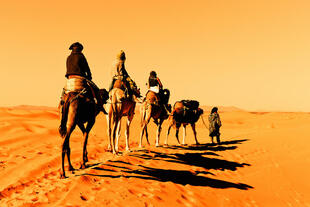 Kamelritt im Dünengebiet des Erg Chebbi