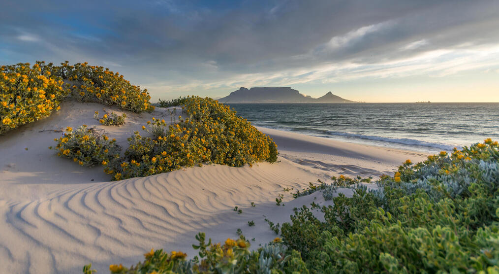 Strand in Blouberg