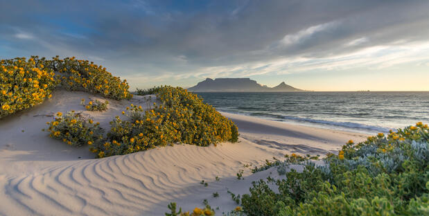 Strand in Blouberg