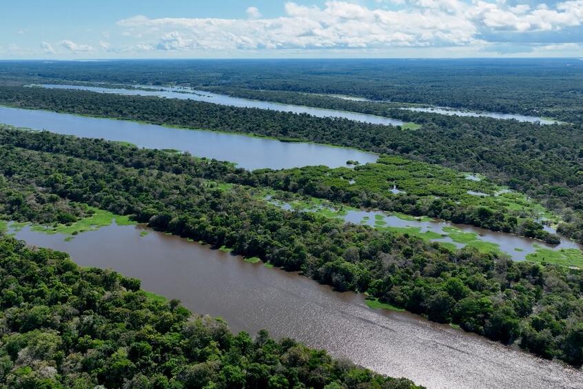 Landschaft am Amazonas 