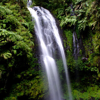 Wasserfall im Regenwald