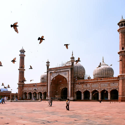 Jama Masjid Moschee, Delhi