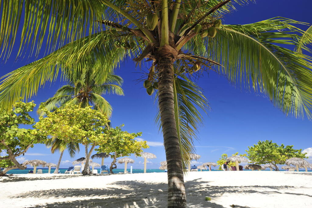 Strand von Guardalavaca, Holguín