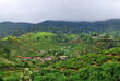 Lanka Nuwara Eliya