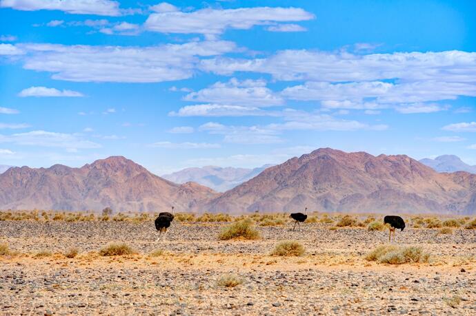 Weg nach Mariental